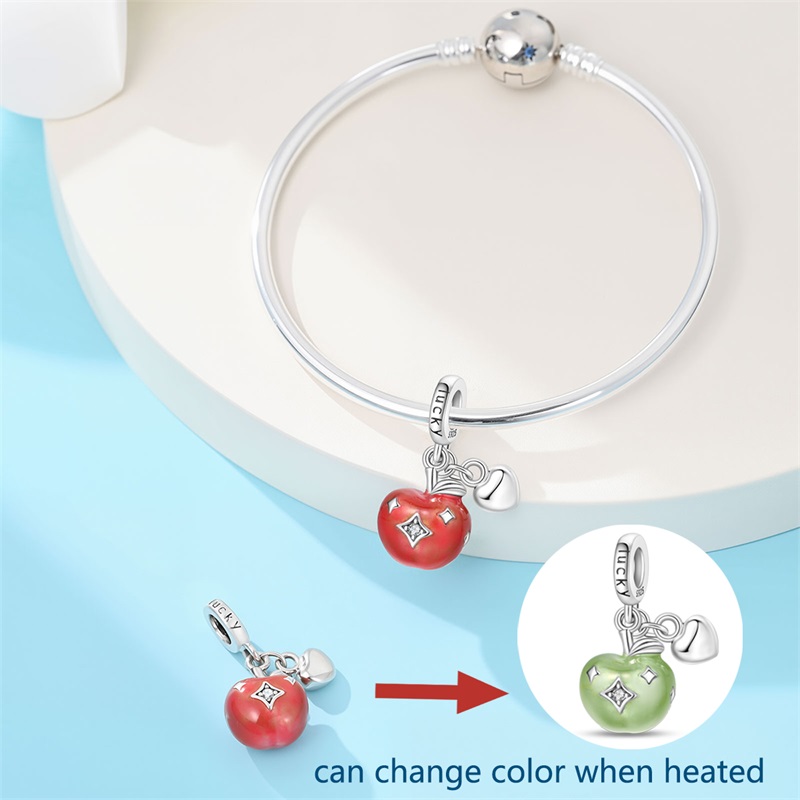 New 925 Sterling Silver Charms - đánh giá và giá Eve Jewelry & Watches Distribuidor Oficial Rolex