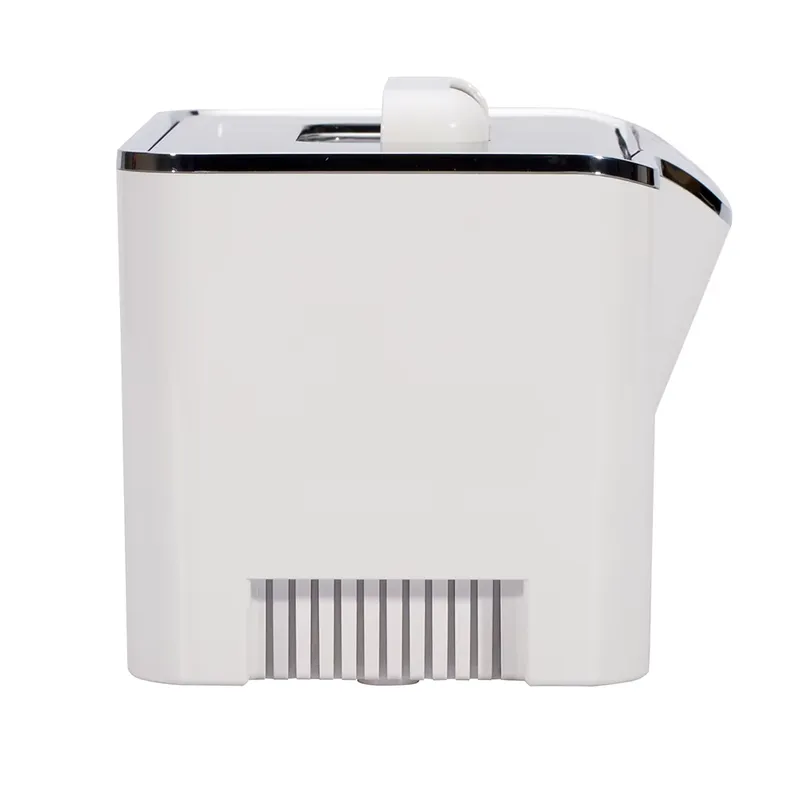 Codyson Ultrasonic Cleaning Ma - đánh giá và giá Jewelry Watch