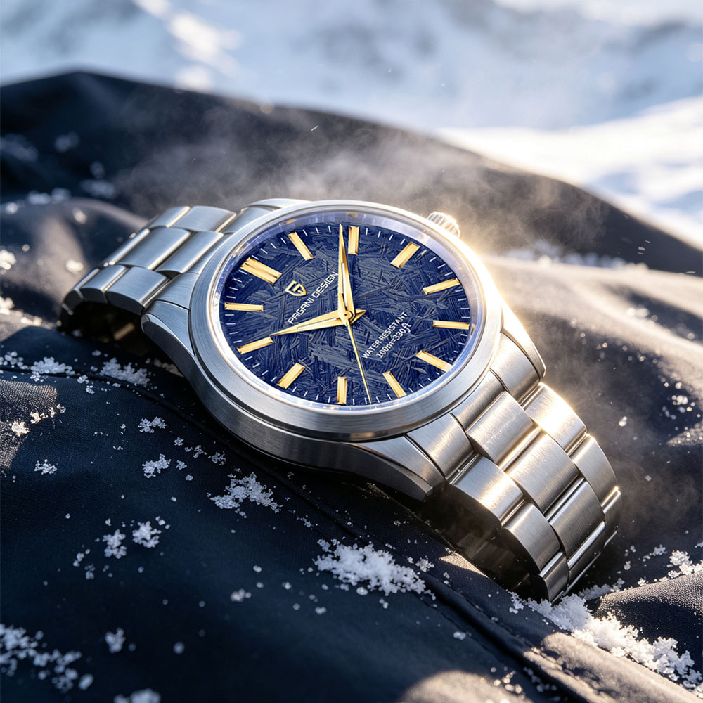 PAGANI DESIGN 40MM Men Quartz  - đánh giá và giá Jewelry Watch